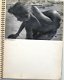 Formes Nues 1935 Fotografie Man Ray Hausmann Brassai etc. - 4 - Thumbnail