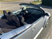 Volkswagen New Beetle Cabriolet - 1.4 Turijn Comfort airco stoelverwarming zeer mooi - 1 - Thumbnail