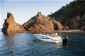 Sea Ray SPX 190 Outboard - 4 - Thumbnail