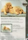 DIMENSIONS BORDUURPAKKET, GOLDEN RETRIEVER PUPPIES - 1 - Thumbnail