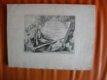 42 etsen B.Picart - naar o.a. Rembrandt - Receuil de Lions - 2 - Thumbnail