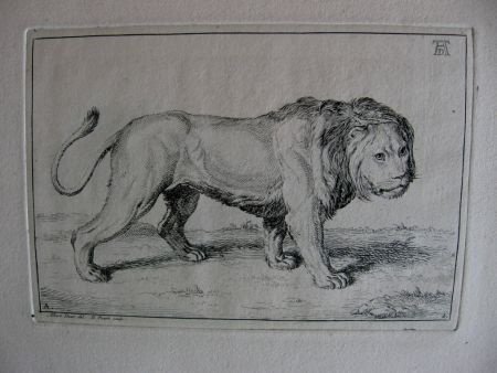 42 etsen B.Picart - naar o.a. Rembrandt - Receuil de Lions - 4