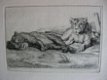 42 etsen B.Picart - naar o.a. Rembrandt - Receuil de Lions - 5 - Thumbnail
