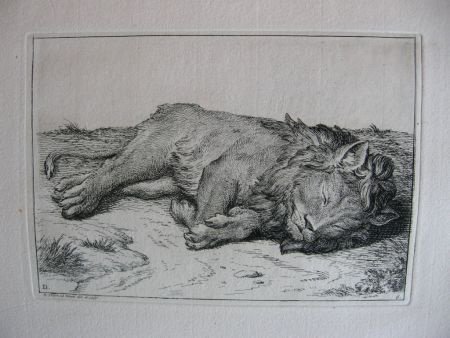 42 etsen B.Picart - naar o.a. Rembrandt - Receuil de Lions - 7