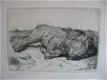42 etsen B.Picart - naar o.a. Rembrandt - Receuil de Lions - 7 - Thumbnail