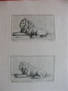 42 etsen B.Picart - naar o.a. Rembrandt - Receuil de Lions - 8