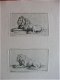 42 etsen B.Picart - naar o.a. Rembrandt - Receuil de Lions - 8 - Thumbnail