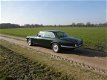 Daimler Sovereign - 4.2 LWB 1978 Origineel Nederlandse auto - 1 - Thumbnail