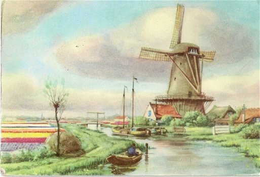 Molen met bollenveld - 1