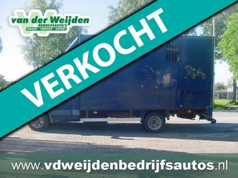 Iveco Daily - 50C13 Veewagen 3/4-Paards C-Rijbewijs, 79.155 km - 1