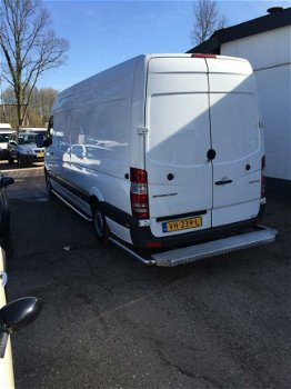 Mercedes-Benz Sprinter - WB3L 313 CDI - 1