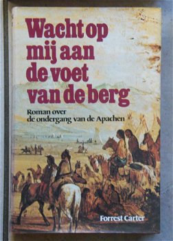 6 boeken over de geschiedenis van het Wilde Westen - 5