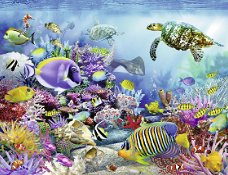 Ravensburger - Coral Reef Majesty - 2000 Stukjes Nieuw