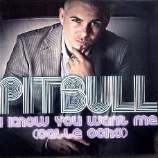 Pitbull ‎– I Know You Want Me (Calle Ocho)  4 Track CDSingle
