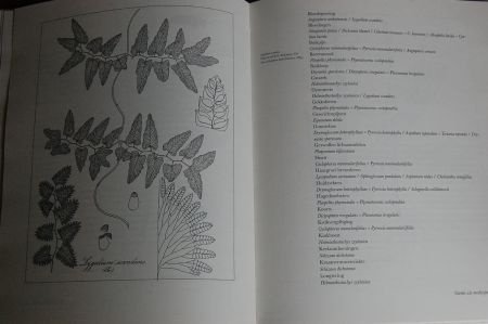 Varens, Varens, Varens, van Addertong tot Zwartsteel - 3