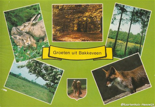 Groeten uit Bakkeveen - 1