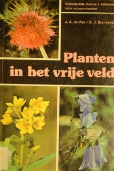 Planten in het vrije veld - 1