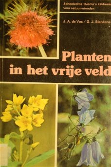 Planten in het vrije veld