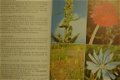 Planten in het vrije veld - 2 - Thumbnail