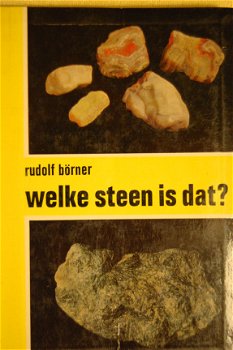 Welke steen is dat? - 1