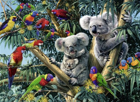 Ravensburger - Koalas in a Tree - 500 Stukjes Nieuw - 1
