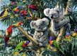 Ravensburger - Koalas in a Tree - 500 Stukjes Nieuw - 1 - Thumbnail
