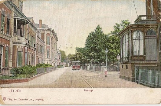 Leiden, plantage - 1