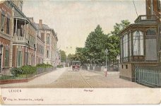 Leiden, plantage