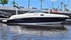 Searay 240 Sundeck - 1 - Thumbnail