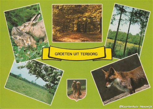 Groeten uit Terborg - 1