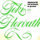 Toki Horvath En Zijn Hongaars Zigeuner Orkest - 1 - Thumbnail