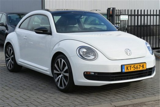 Volkswagen Beetle - 1.2 TSI Design 2014 Panodak, Leer, Stoelverw, Navi, 19