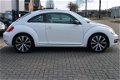 Volkswagen Beetle - 1.2 TSI Design 2014 Panodak, Leer, Stoelverw, Navi, 19