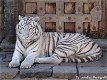 Fotokaart Witte tijger (Dier02) - 1 - Thumbnail