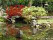 Poster Japanse tuin: rood bruggetje (PO38) - 1 - Thumbnail