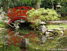Poster Japanse tuin: rood bruggetje (PO38)