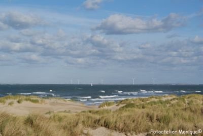 Poster Duinlandschap Oranjezon (PO16) - 1