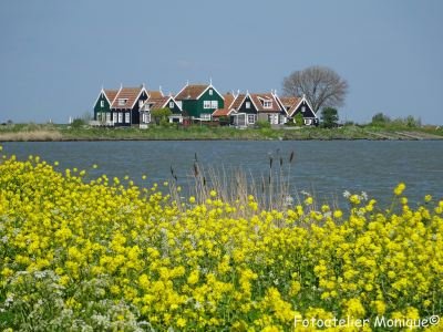 Poster Marken voorjaar (PO13) - 1