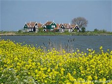 Poster Marken voorjaar (PO13)