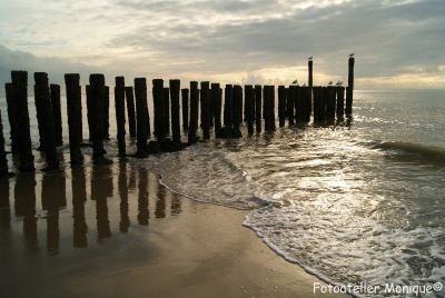 Fotokaart Paalhoofden Dishoek (warme kleuren) (Mar04) - 1