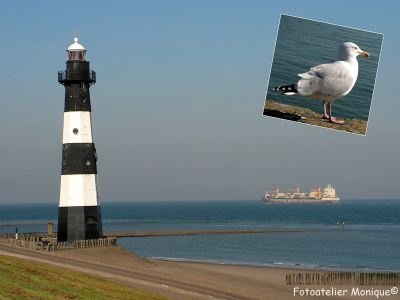 Fotokaart Collage vuurtoren Breskens (Mar01) - 1