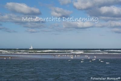 Fotokaart Zeelandschap, zeilbootje en meeuwen (Con02) - 1