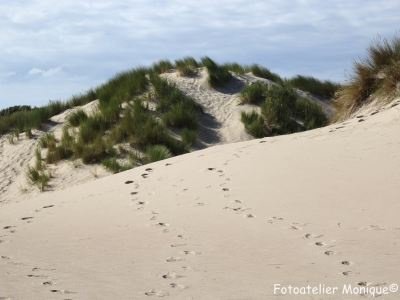 Poster Duinen en voetstappen in het zand (PO19) - 1
