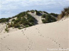 Poster Duinen en voetstappen in het zand (PO19)
