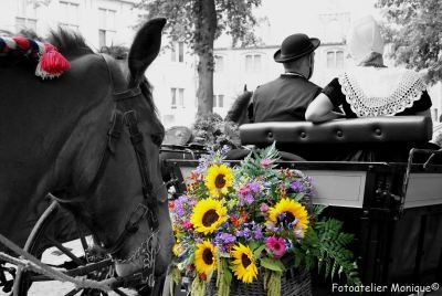Fotokaart Paard kijkt naar bloemstuk sjees (zwart-wit met gekleurde details) (Folk04) - 1