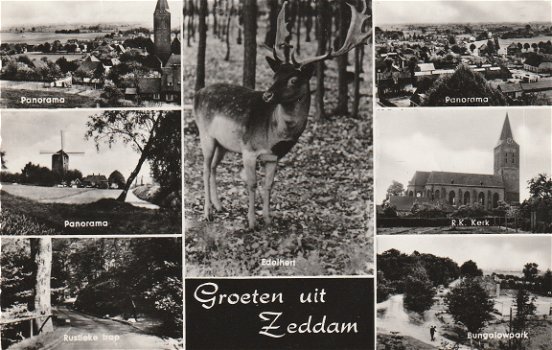 Groeten uit Zeddam - 1