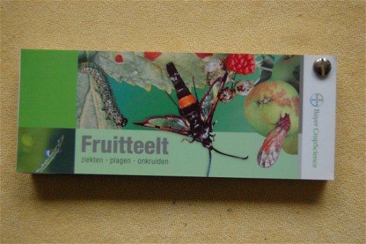 Waaier fruitteelt - 1