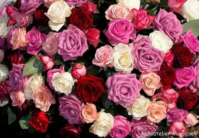 Fotokaart Boeket rozen (verschillende kleuren) (Bloem18) - 1