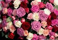 Fotokaart Boeket rozen (verschillende kleuren) (Bloem18) - 1 - Thumbnail