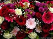 Fotokaart Boeket Gerbera's/rozen/chrysanten (Bloem21) - 1 - Thumbnail